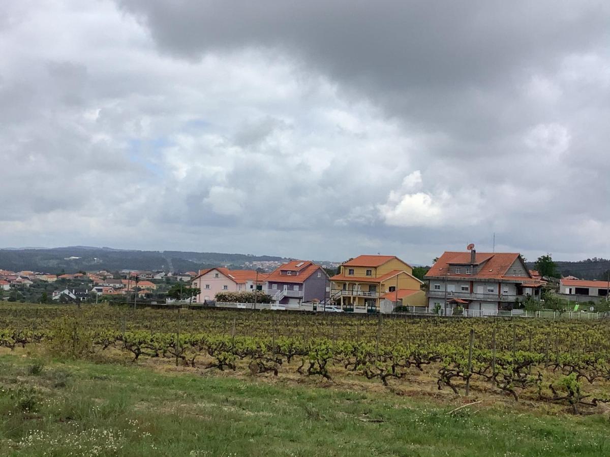 Casa De Ferias Santos Villa Агиар да Бейра Екстериор снимка
